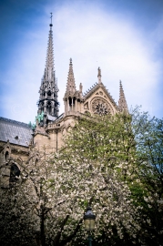 Notre-Dame de Paris au printemps, Paris