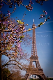 La Tour Eiffel au printemps, Paris