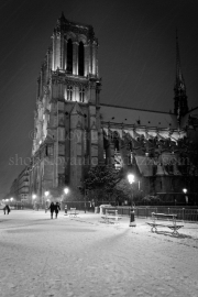 Promenade devant Notre-Dame sous la neige, Paris