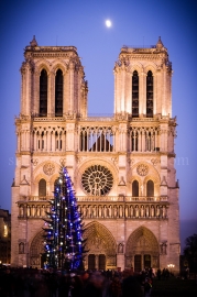 Notre-Dame à Noël, Paris