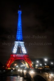 La Tour Eiffel tricolore, devant la Seine, Paris