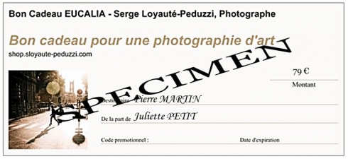 Bon cadeau pour portrait sur site client (Paris)