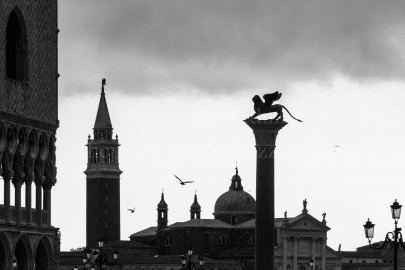 Le lion de Venise, sur la Piazzetta