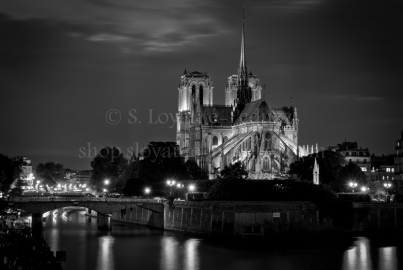 Notre-Dame de Paris depuis les rives de la Seine, Paris